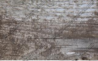 Photo Textures of Wood